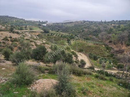 Hacısali Köyünde 703 M2 Satılık Tarla