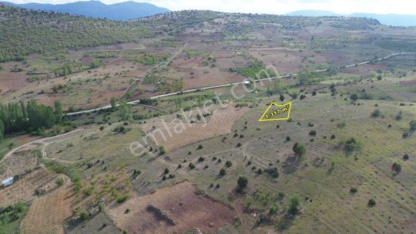 Hadim Aşağıeşenler De 1.317 M2 Müstakil Tapulu Bağ