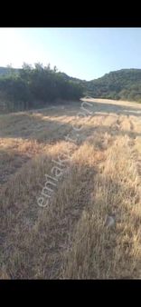 Ön Emlak'tan İvrindi Balıkesir Ana Yoluna Yakın 12.451 M2 Satılık Tarla.