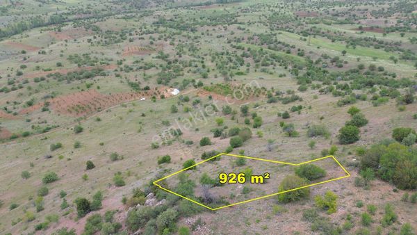 Güneysınır Gürağaçda 926 M2 Müstakil Tapulu Bağ