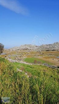 Cmm,den Taşlıca Da 5585m2 Tarla