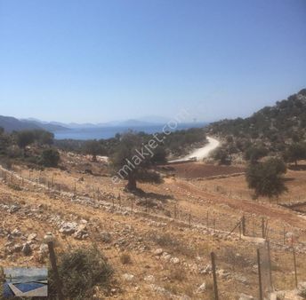 Cmm, Den Söğüt Taslicada Yatırımlık Manzaralı Tarla