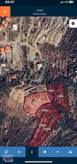 Cmm Emlak'tan Söğütte Yolu Olan Deniz Manzaralı Arazi