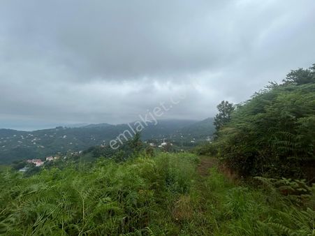 Premar Gayrimenkul Sürmene Çamlıca Mah. Satılık Yatırımlık Arsa