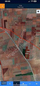 Mrc Gayrimenkulden Arpakesmez Asfaltı Üzerinde Satılık Bag Evlik