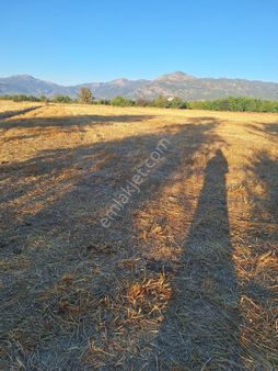 Acıpayam Darıveren Köyünde Satılık Tarla