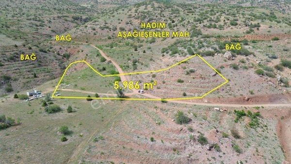 Hadim Aşağıeşenler De 5.986 M2 Müstakil Tapulu Tarla