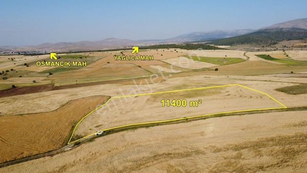 Konya / Kadınhanı / Osmancık Mahallesinde 11.400 M² Müstakil Tapulu Tarla