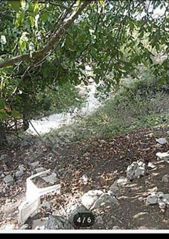 Adana Aladağ Başpınar Mh Satılık Tarla