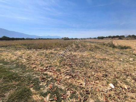 Manisa Şehzadeler Sehitler Mah.yeni Garaj Arkasi 4.200m2 Tarla 15.150.000