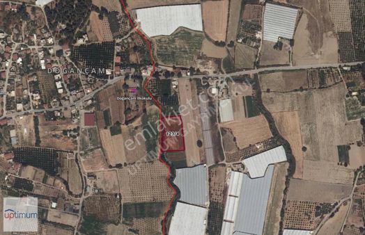 Doğançam Köyünde Fırsat Tarla 5272 M²