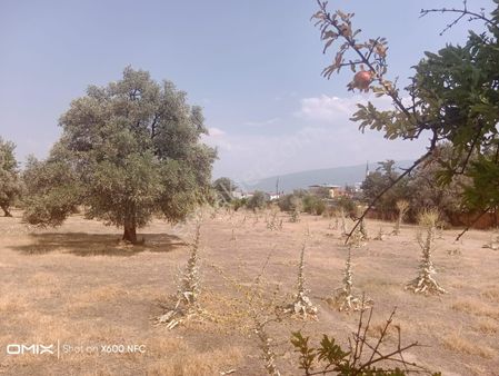 Aydın Nazilli Yeşil Mahallede Satılık Arsa