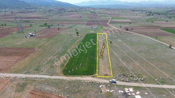 Akören Tülce De 2.558 M2 Müstakil Tapulu Tarla