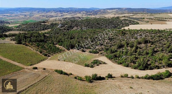 Yeniköy 'de Resmi Yolu Olan Yatırımlık 8273m2 Tarla