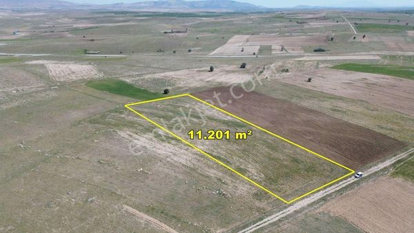 Akören Tülce De 11.201 M2 Müstakil Tapulu Tarla