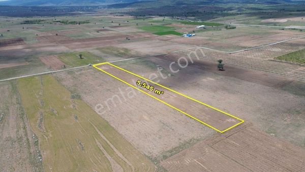 Akören Tülce De Bahçelikler İçerisinde 5.545 M2 Müstakil Tapulu Arazi