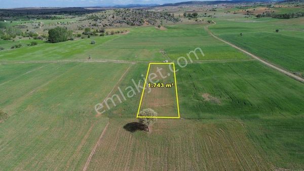 Akören Tülce De 1.743 M2 Müstakil Tapulu Arazi