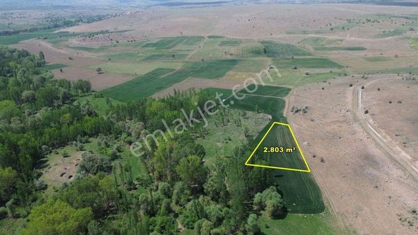 Akören Tülce De Yeşillikler İçerisinde 2.803 M2 Müstakil Tapulu Arazi