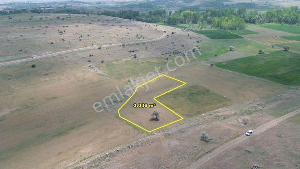 Akören Tülce De 3.036 M2 Müstakil Tapulu Arazi