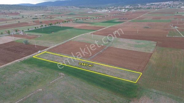 Akören Tülce De 3.687 M2 Müstakil Tapulu Arazi