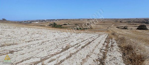 Bahçeağıl Tek Tapu Tarla