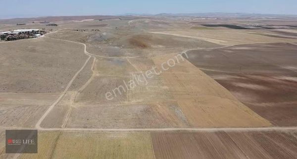 Rw Life // Eskişehir Alpu Işıkörende Satılık Tarla