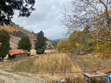 Eray Emlaktan Köyceğiz Çövenli Yaylasında 500m2 Satılık Tarla