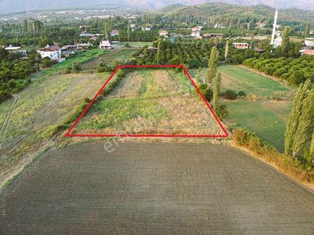 Eray Emlaktan Köyceğiz Zeytinalanında 4250m2 Satılık Tarla