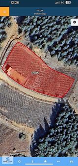 Doğanhisar Baş Mahallesinde Satılık Yapı Kayıt Ruhsatlı Satılık