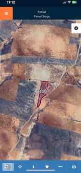 Oğuzeli Tınazderede Satılık 6730 M2 Tek Tapu Bağevlik