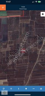 Nuray Gayrimenkulden Kilis Merkez Yavuzluda 3019 Metre Arazi