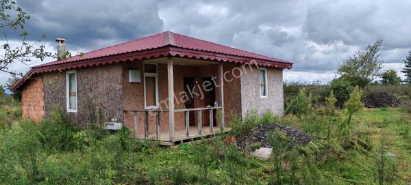 Samsun Terme Yenıcamıde Evi Olan Satılık Fındık Bahcesı