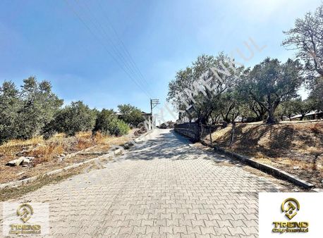 Trend'den Yeniyenice Mah 1200m2 İmara Açık Köy İçi Satılık Arsa