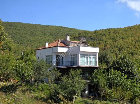 C21 Cius; Haydariye Müstakil Bahçeli Kiralık 4+1 Tripleks Villa