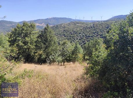 Balıkesir Savaştepede Satılık 2 Adet Arazi
