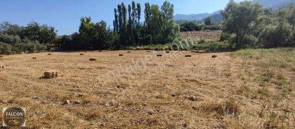 Falcon'dan Yakada Fırsat 3500 Metre Arsa