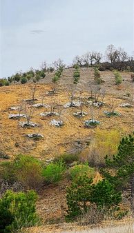 Yatırımın Güvenilir Ve Kazançlı İlk Adresinden