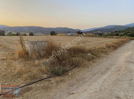 Bursa Yenişehir Fethiye Satılık Tarla 3700 M2