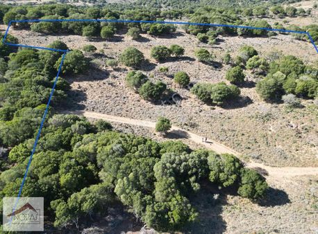 Notıas Real Estate Gayrimenkul'den 18.093 M2 Tarla