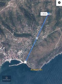 Marmara Adası Asmalı'da Satılık Zeytinlik Arsa