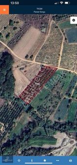 Geyve Akdoğanda Yatırımlık Meyvelık