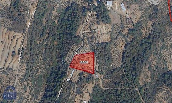 Kemalpaşa Bağyurdu'nda Tek Tapulu Satılık 7 Dönüm Zeytinlik