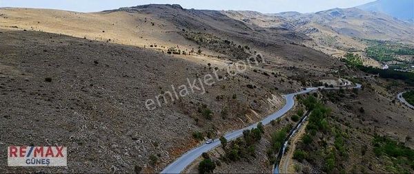 Doğanşehir Fındık Mah Asfalt Yola Sıfır 8610 M2 Satılık Bağ