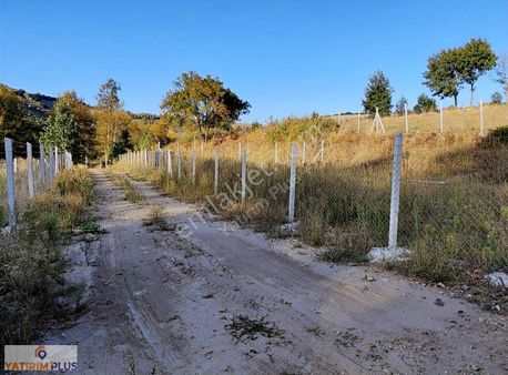 Yatırım Plus'tan Taflanda Satılık Tarla