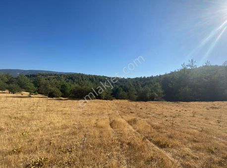 Muğla Yatağan Yayla'da Satılık Arsa