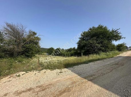 Bursa Nilüfer Güngörende Tek Tapu Tarla