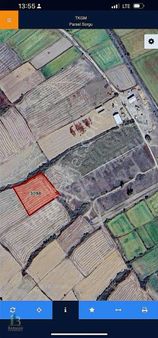 Havsa Şerbettar Köyünde 6.400 M² Arazi Satılık