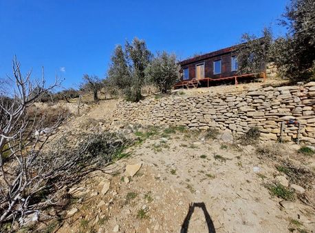 384 M2 Köy İçi Tarla Kapı Numarası Mevcut