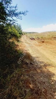 Oymapınar Iğrışlar Da Satılık Tarla 1 Dönüm Bonuslu