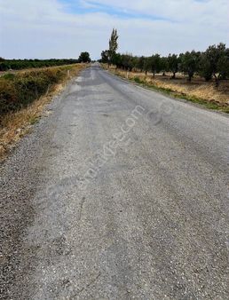 Geb'ten Satılık Fırsat Bağ